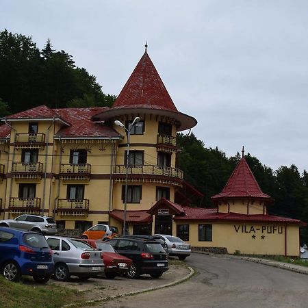 Vila Pufu Slănic-Moldova Eksteriør billede